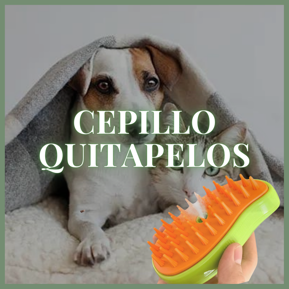 Cepillo a Vapor 3 en 1 - Pet™